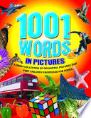 1001 Words in Picture