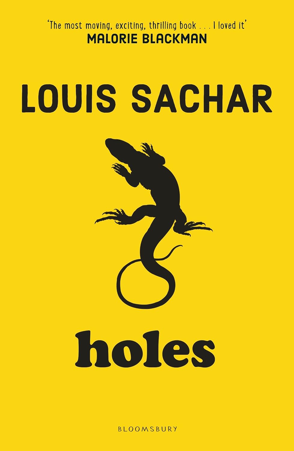 Holes (Hardcover)