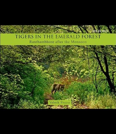 TIGERS IN THE EMERALD FOREST-PD (Hardcover)