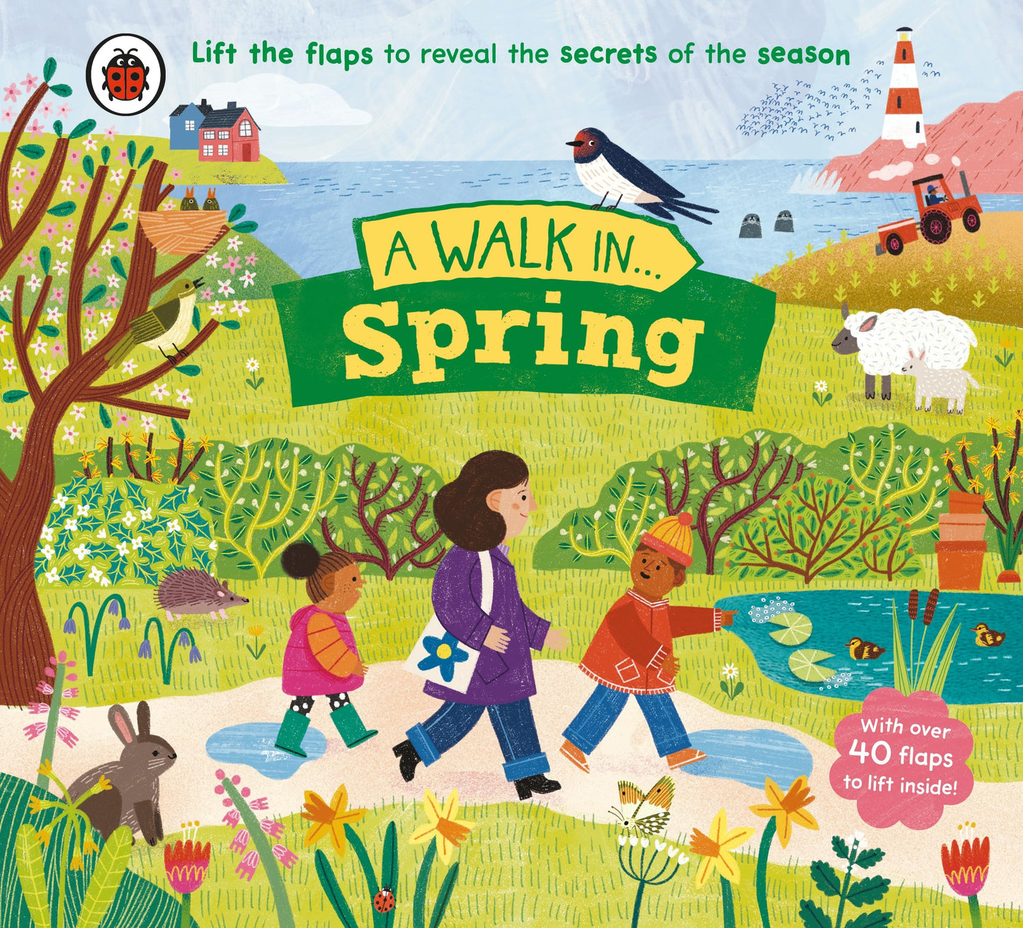 A Walk In Spring: Lift The Flaps To Reveal The Secrets Of The Season