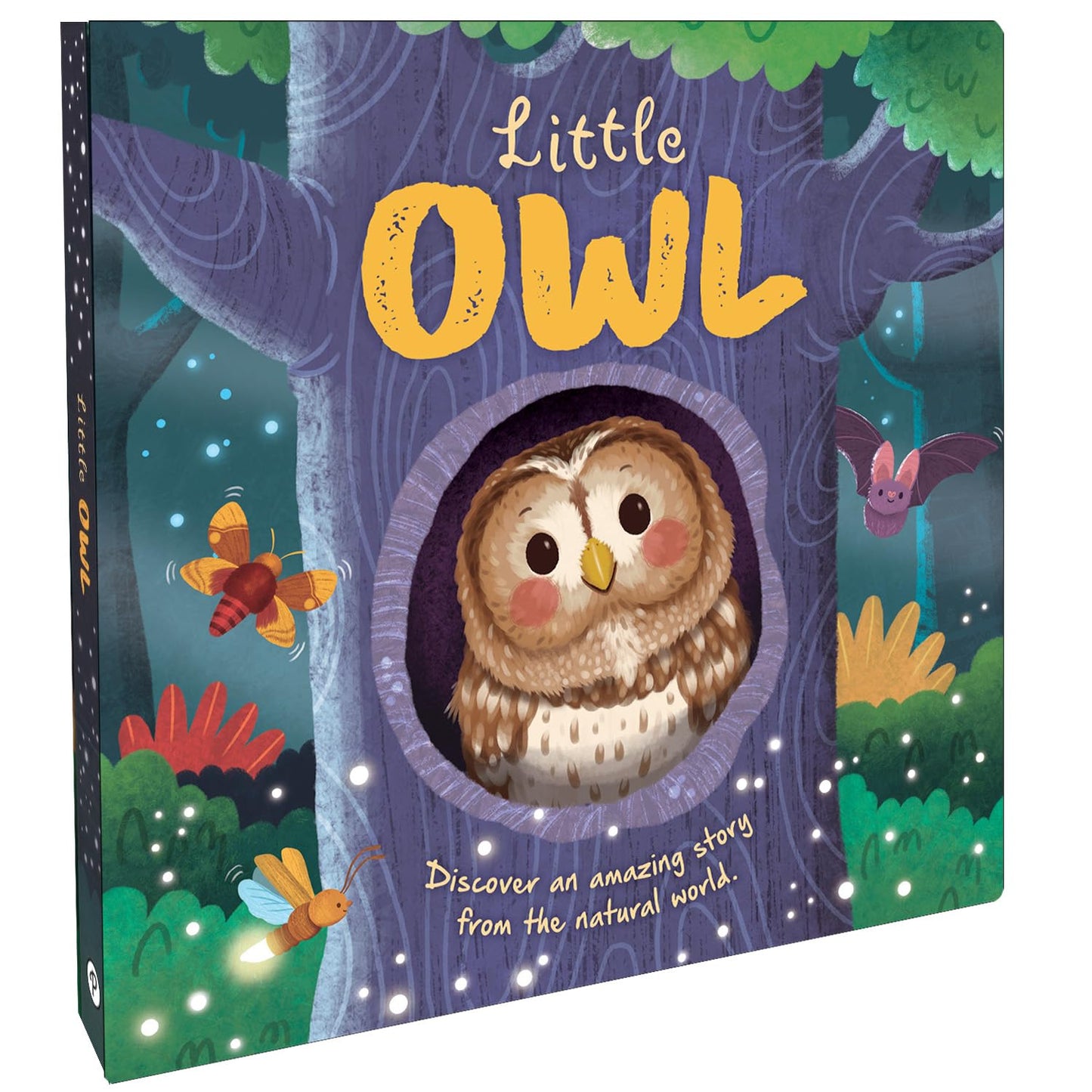 Little Owl | Engaging Board Book With A Heartwarming Story