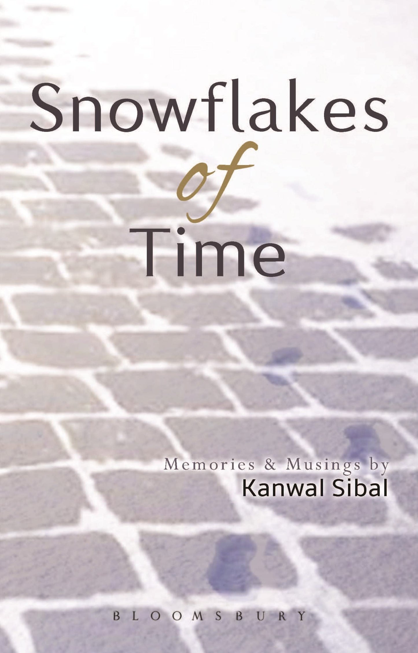 Snowflakes Of Time, Memories And Musings