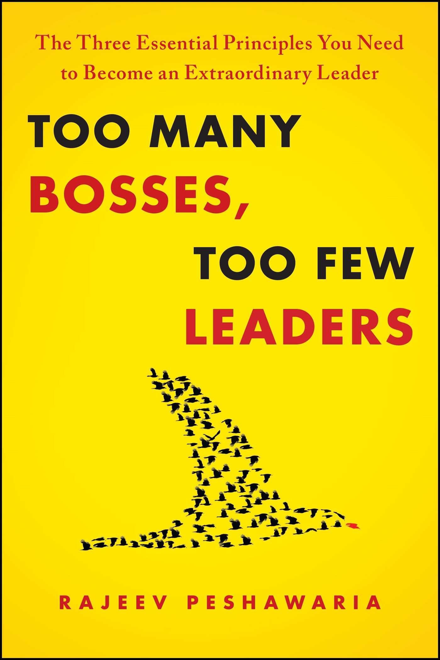 Too Many Bosses, Too Few Leaders: The Three Essential Principles You Need To Become An Extraordinary Leader