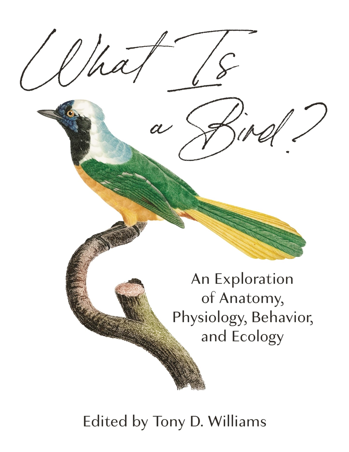 What Is A Bird?: An Exploration Of Anatomy, Physiology, Behavior, And Ecology