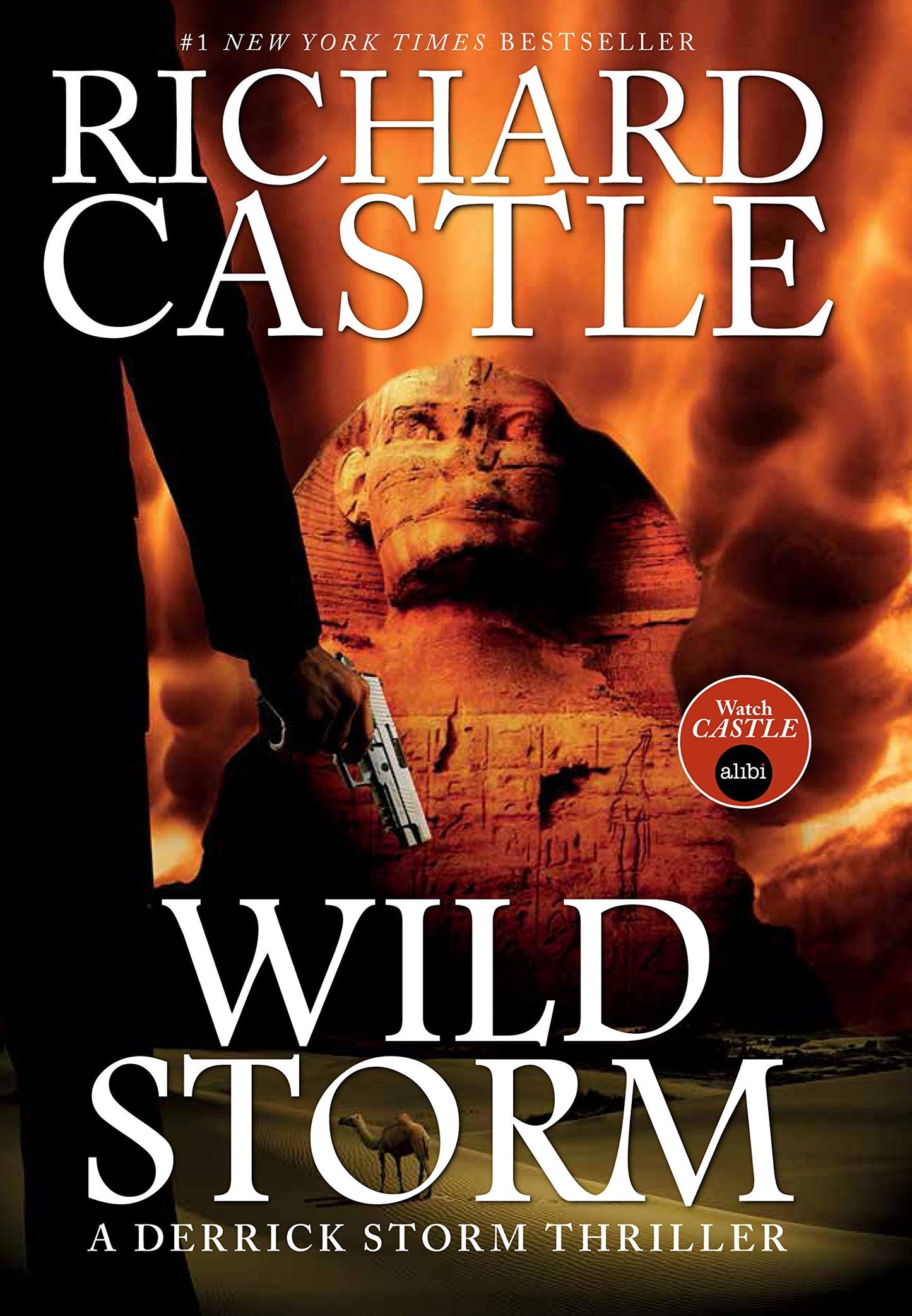 Wild Storm: A Derrick Storm Novel