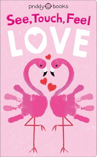 See Touch Feel: Love (See, Touch, Feel, 1)