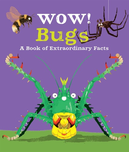 Wow Bugs (Wow )