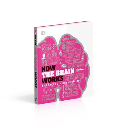How the Brain Works: The Facts Visually Explained