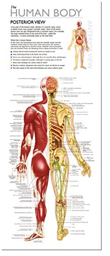 Discover the Human Body: Educational Box Set (Wonders of Learning Educational Box Set)