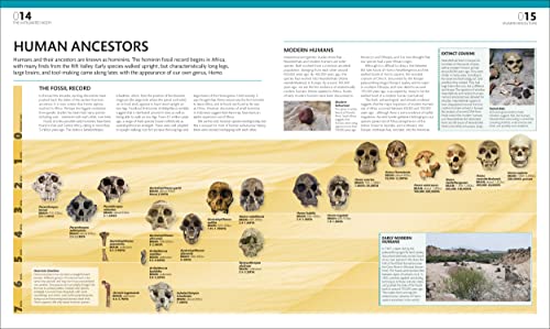 The Complete Human Body: The Definitive Visual Guide