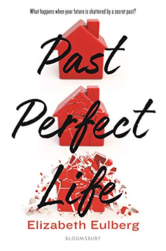 Past Perfect Life (Hardcover)