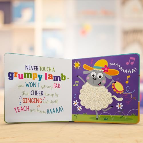 Never Touch A Grumpy Bunny! (Silicone Touch-And-Feel) (Board book)