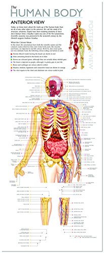 Discover the Human Body: Educational Box Set (Wonders of Learning Educational Box Set)