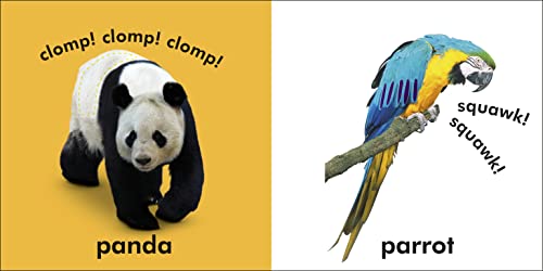 Baby Touch and Feel Wild Animals