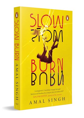 Slow Burn: A Contemporary Fiction Novel Set in Mumbai | A Gripping Story of Fame, Failure, Illusion and Second Chances (Paperback)