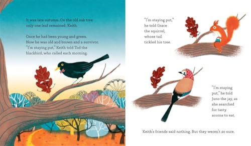 Keith's Big Leap (Hardcover)