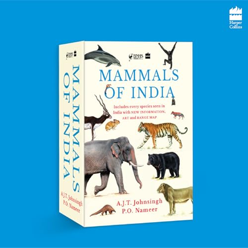 Mammals of India (Paperback)