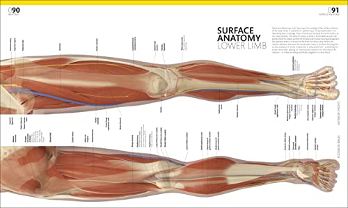 The Complete Human Body: The Definitive Visual Guide