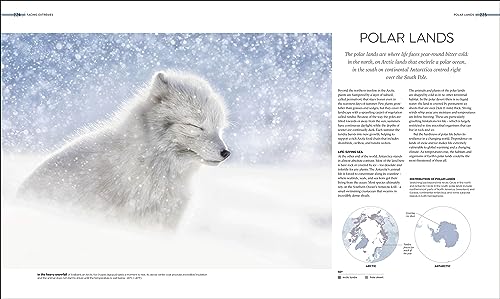 Habitats: Discover Earth's Precious Wild Places