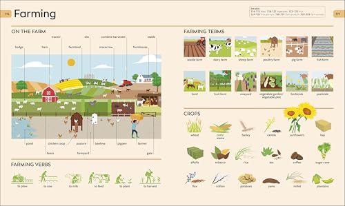Children Visual Dictionary: 9,000-Word Illustrated Vocabulary Builder for Kids Ages 7+ | English Word Book, School Reference Guide & Picture Dictionary