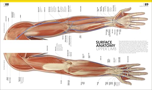 The Complete Human Body: The Definitive Visual Guide (Hardcover)