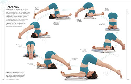 B.K.S. Iyengar Yoga The Path to Holistic Health: The Definitive Step-by-step Guide (Hardcover)