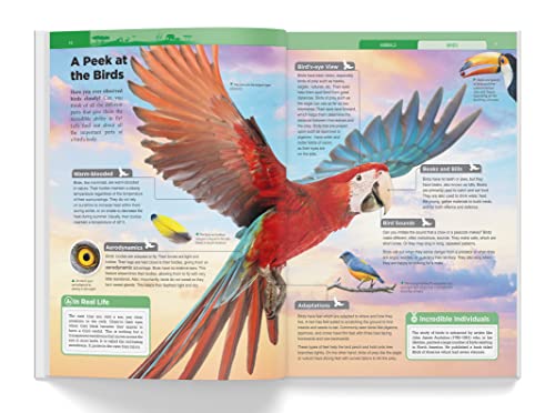 Knowledge Encyclopaedia Boxed Set 8 Paperback Books For Kids Age Group 10+ (Paperback)