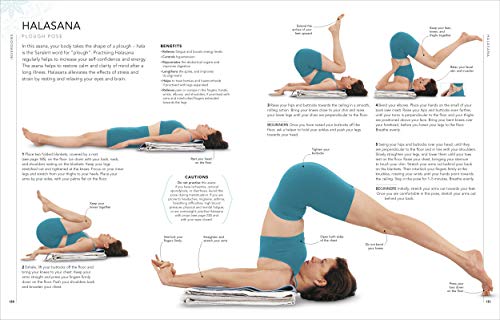 B.K.S. Iyengar Yoga The Path to Holistic Health: The Definitive Step-by-step Guide (Hardcover)