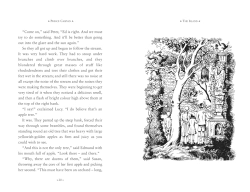 The Chronicles of Narnia Box Set: The complete collection of seven classic fantasy adventure stories for kids