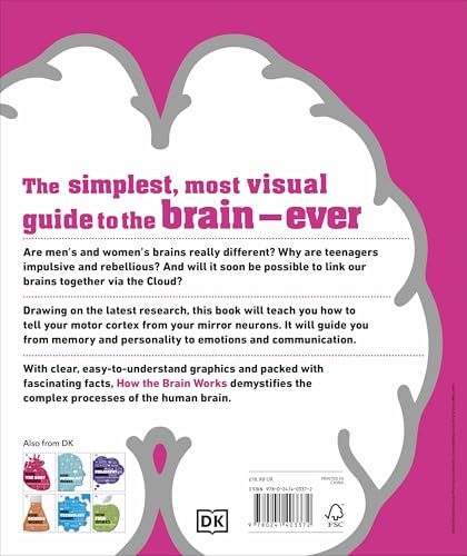 How the Brain Works: The Facts Visually Explained