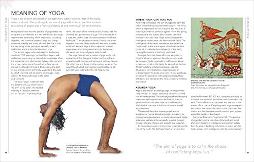 B.K.S. Iyengar Yoga The Path to Holistic Health: The Definitive Step-by-step Guide (Hardcover)