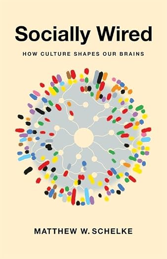 Socially Wired: How Culture Shapes Our Brains (Hardcover)