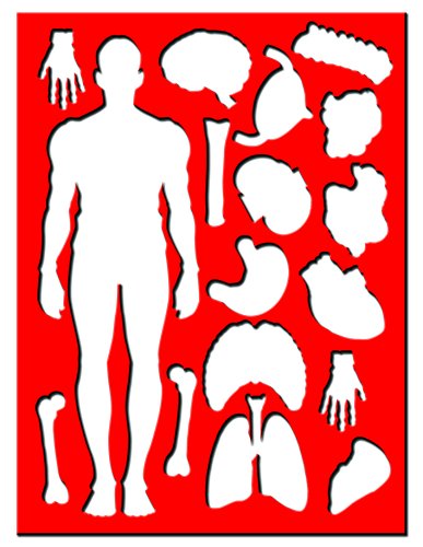 Discover the Human Body: Educational Box Set (Wonders of Learning Educational Box Set)