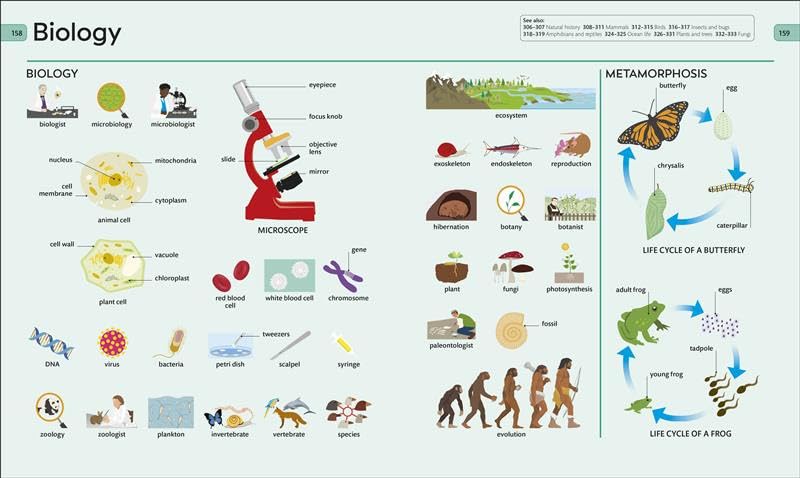 Children Visual Dictionary: 9,000-Word Illustrated Vocabulary Builder for Kids Ages 7+ | English Word Book, School Reference Guide & Picture Dictionary