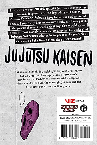 Jujutsu Kaisen, Vol. 14 (Volume 14)