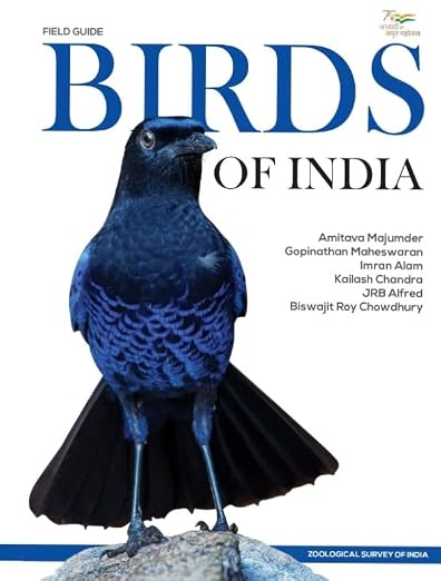 Birds of India