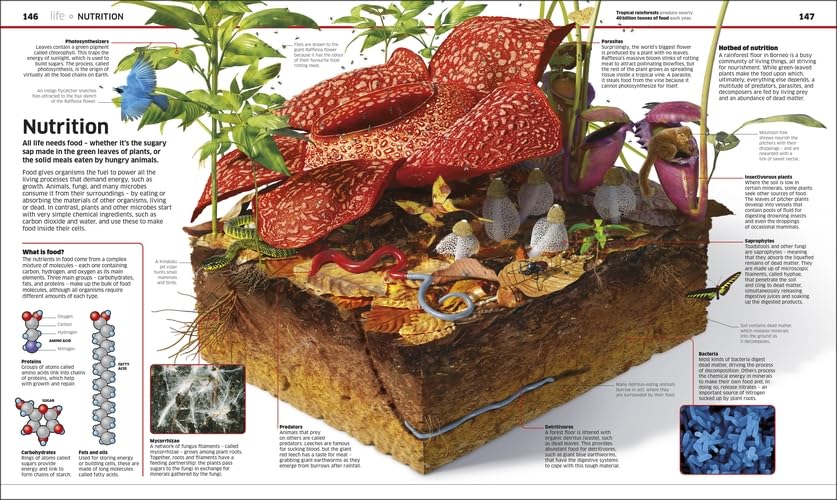 Knowledge Encyclopedia: Science!: Science As You've Never Seen It Before