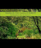 TIGERS IN THE EMERALD FOREST-PD (Hardcover)