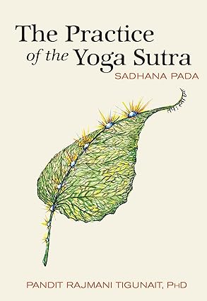 The Practice Of The Yoga Sutra