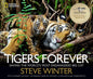 Tigers Forever: Saving the World's Most Endangered Big Cat (Hardcover)