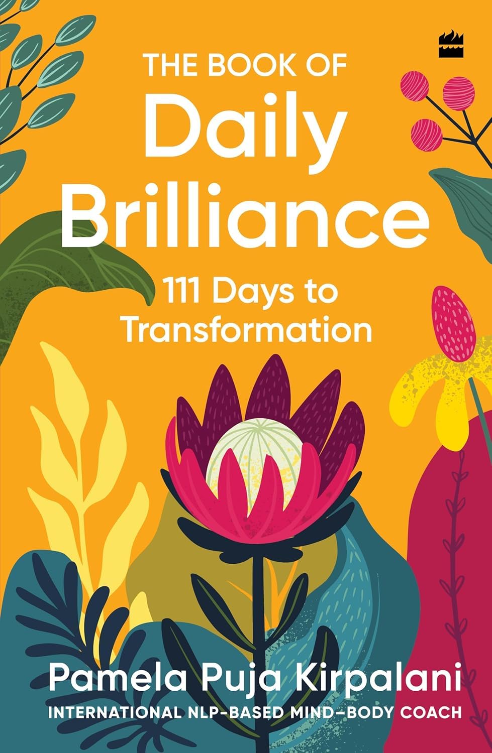 The Book of Daily Brilliance: 111 Days to Transformation (Hardcover)