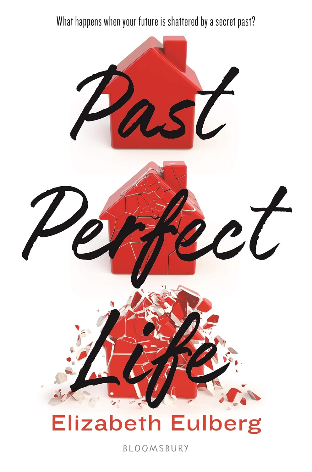 Past Perfect Life (Hardcover)
