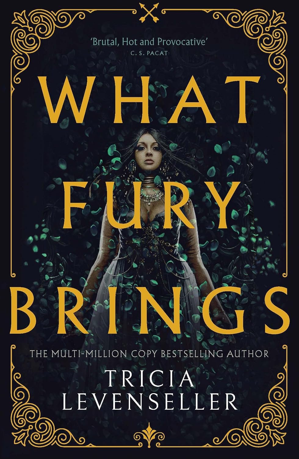 What Fury Brings: Wrath and Fury Book 1 (Paperback)