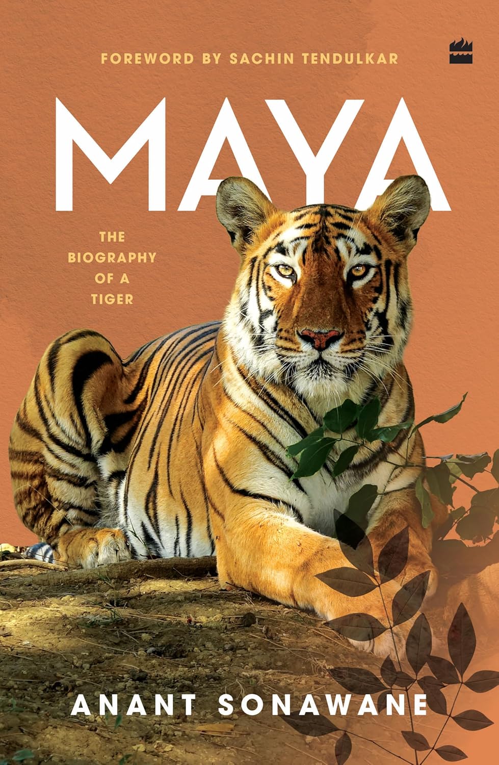 Maya: The Biography of a Tiger (Hardcover)