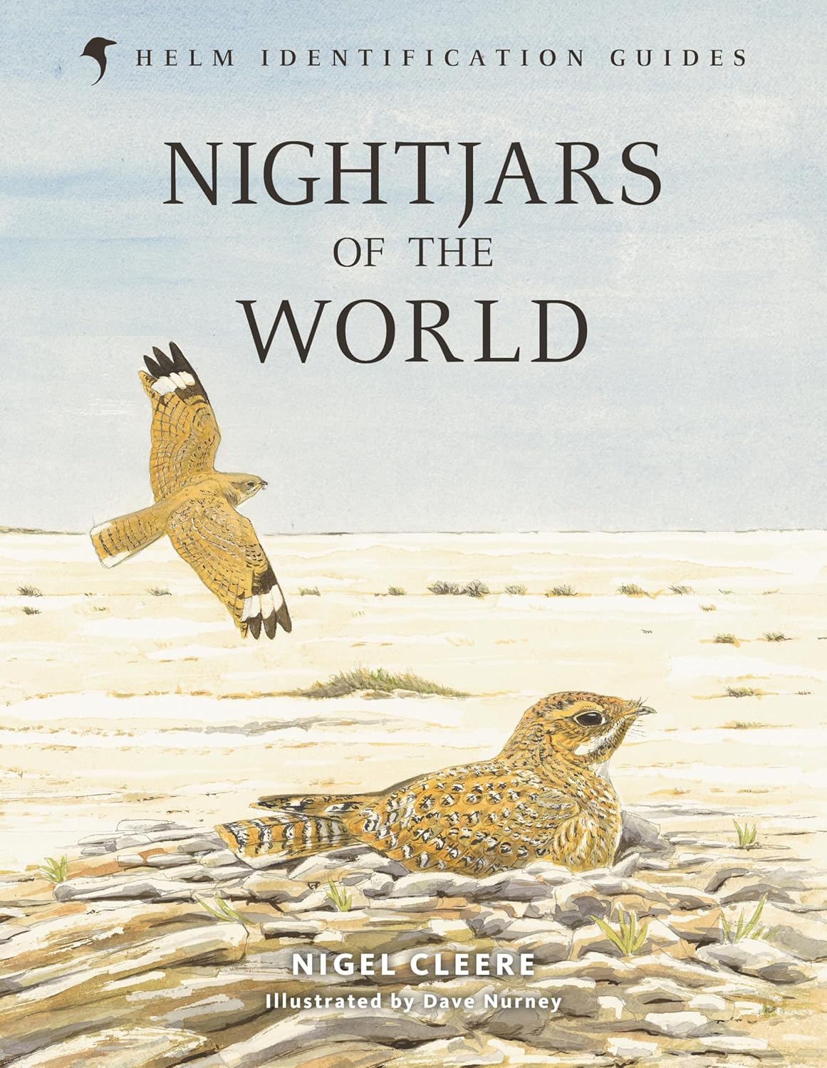 Nightjars of the World (Hardcover)
