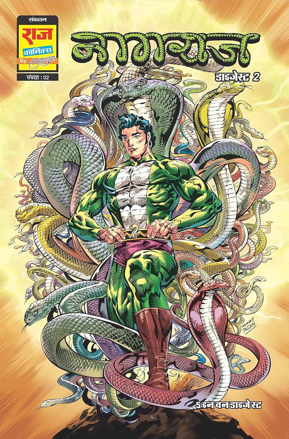Raj Comics | Nagraj Digest 2 (Hindi) | Big Size | Graphic Novel | New Release | Paperback