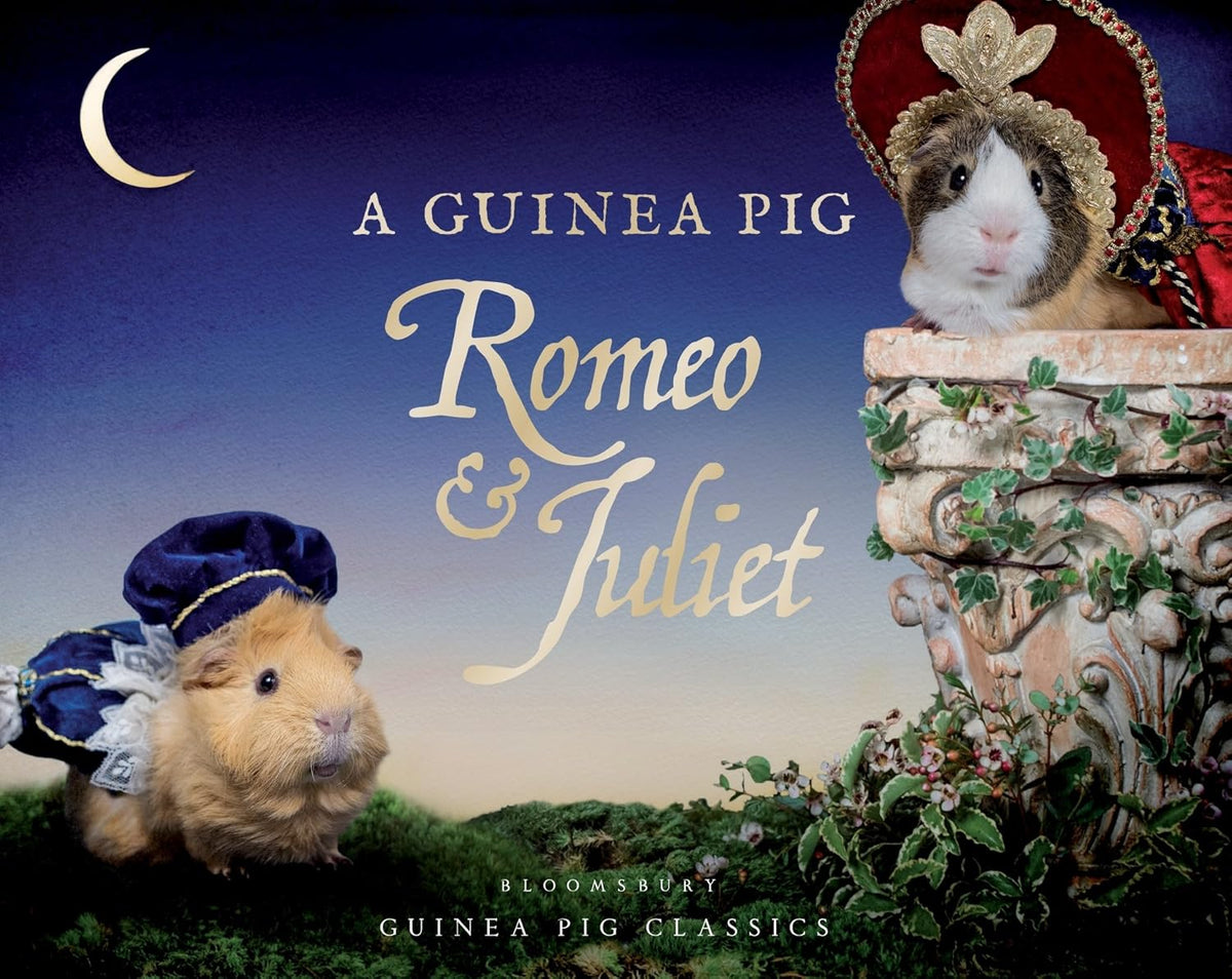 A Guinea Pig Romeo & Juliet (Guinea Pig Classics) (Hardcover)