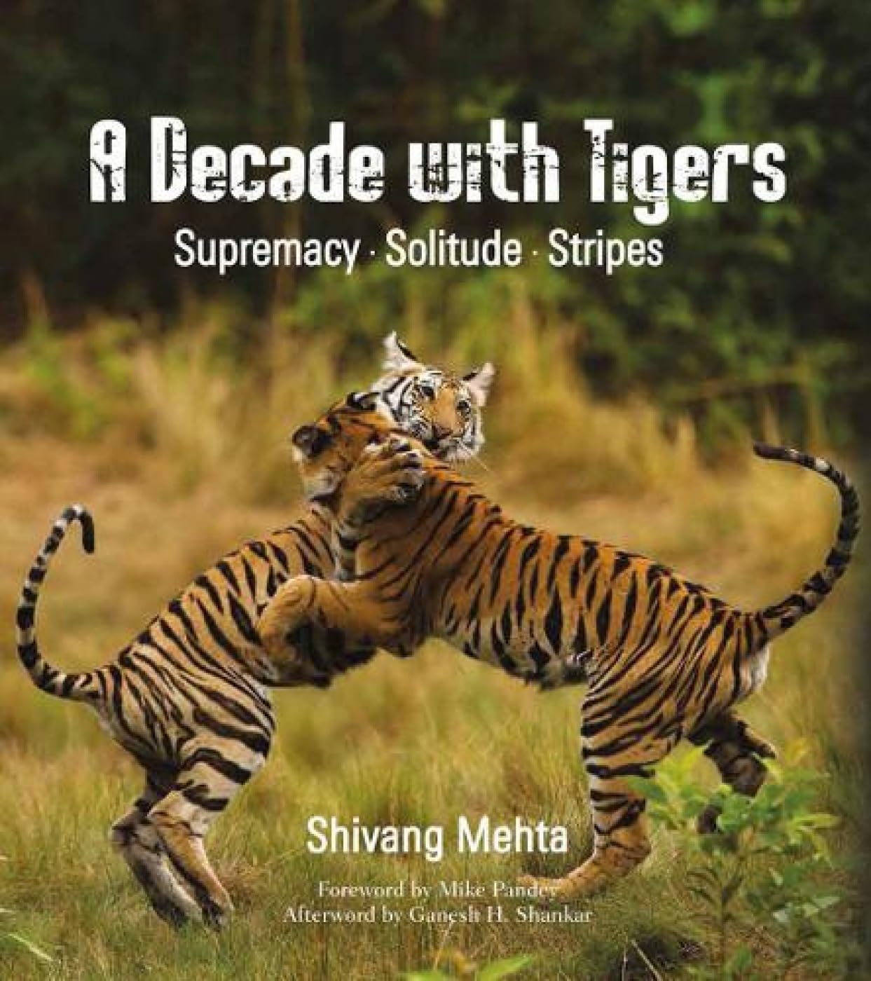 A Decade With Tigers: Supremacy. Solitude. Stripes