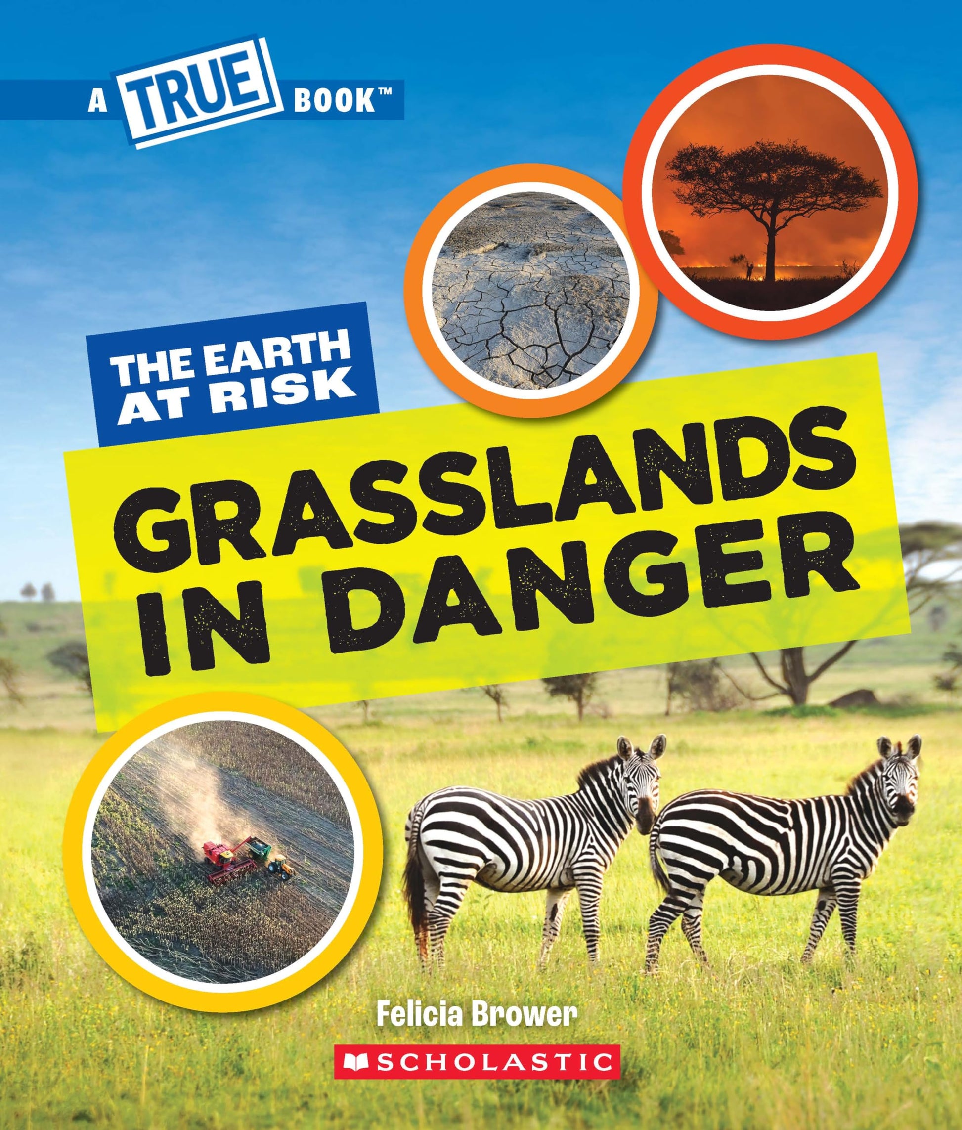 A True Book - The Earth At Risk: Grasslands In Danger