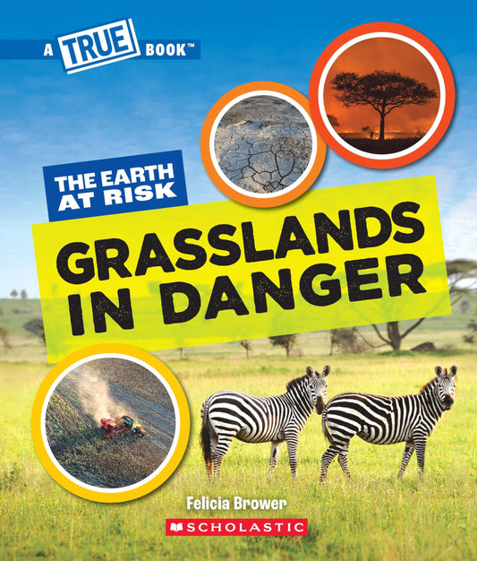 A True Book - The Earth At Risk: Grasslands In Danger